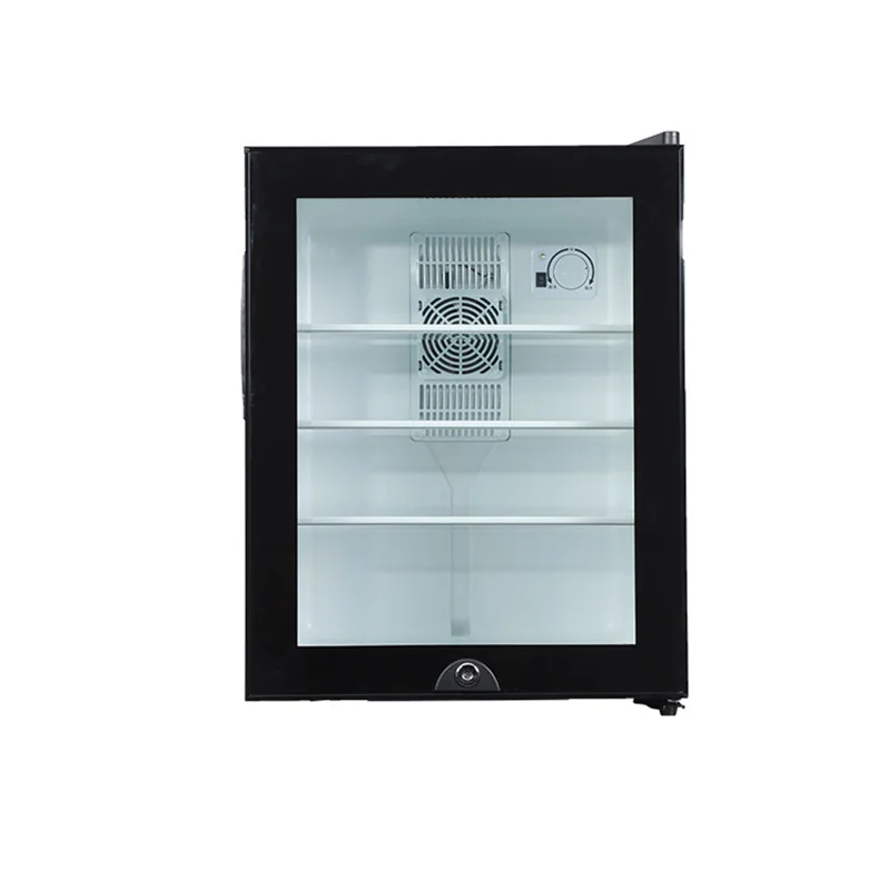 Mini Fridge Cooler 40L Refrige – Wine Beer Mini Fridge Bewertung und Preis