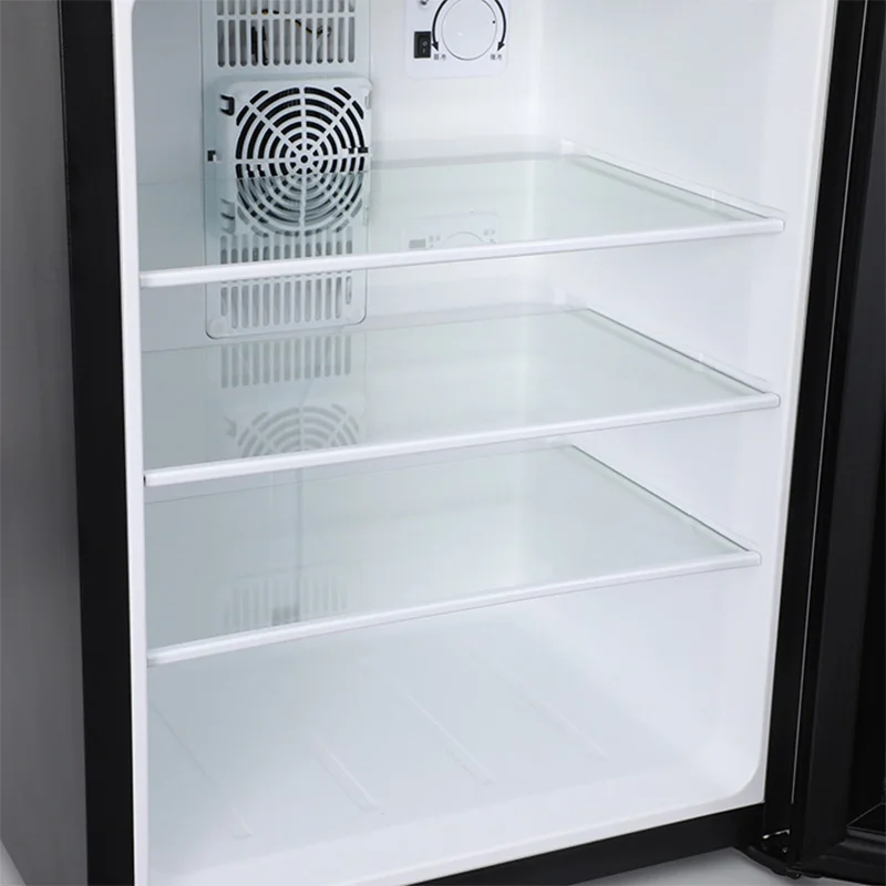 Mini Fridge Cooler 40L Refrige – Wine Beer Mini Fridge Bewertung und Preis